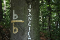 tragom_vitezova_2012_11