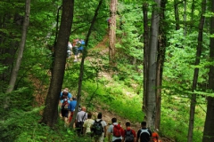 tragom_vitezova_2012_13