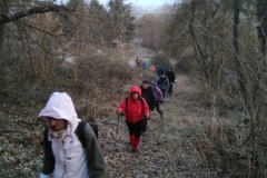 IMG_20210307_062649