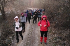 IMG_20210307_063500