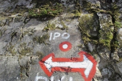 pozdrav_proljecu2012_12