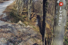 pozdrav_proljecu2012_7