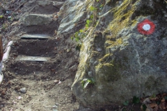 pozdrav_proljecu2012_8