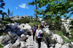IMG-14107bb6289caf84f379bf57d0082d1d-V