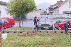 672672594_1419919239940279_5247264334581693754_n