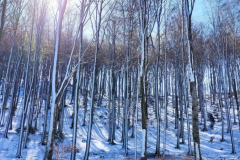 IMG-20220410-WA0017