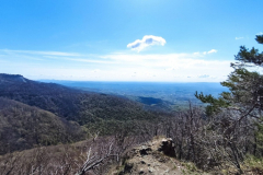 IMG-20220410-WA0036
