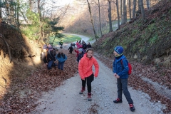 SLIKA14_