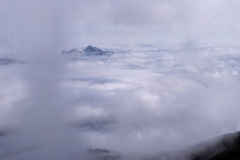 IMG_20220220_113147