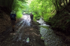 ivanovci_27