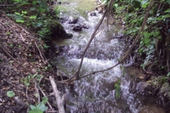 ivanovci_29