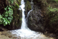 ivanovci_32