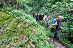 IMG-20240617-WA0019