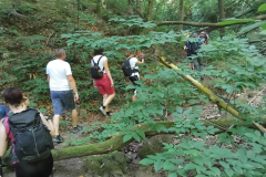 IMG-20250615-WA0009