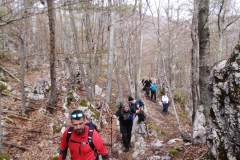 IMG_20210501_094749