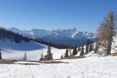 20190331_090716
