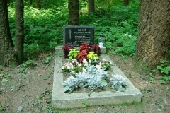 27