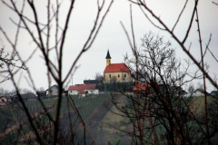 vincekovo2014_8