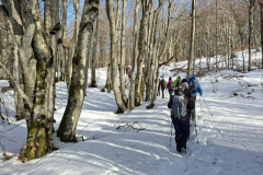 K800_20260118_114052