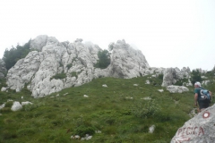 P1230241