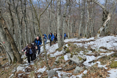 IMG-20260322-WA0006