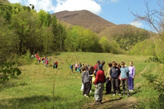 zelena_cistka2012_1