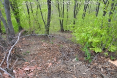 zelena_cistka2012_13