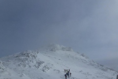 platak2013_2