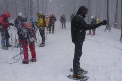 platak2013_3