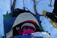 platak2013_4