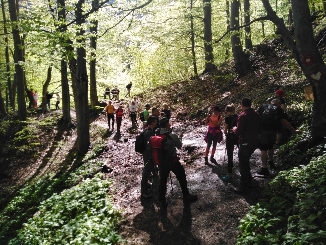 PLANINARENJE PO IVANŠČICI - Planinarski klub Ivanec